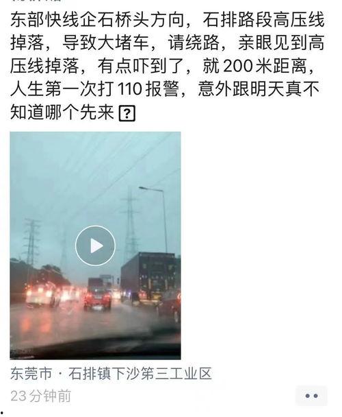 今天东莞新闻爆料视频最新,视频揭露惊人真相，事件引发社会关注